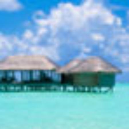 Los Tres Potrillos Restaurante